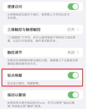 临沭苹果授权维修站分享iPhone轻点无法唤醒怎么办 