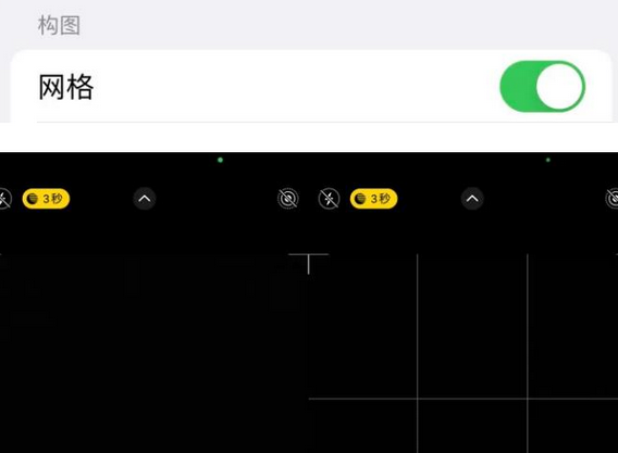 临沭苹果手机维修网点分享iPhone如何开启九宫格构图功能