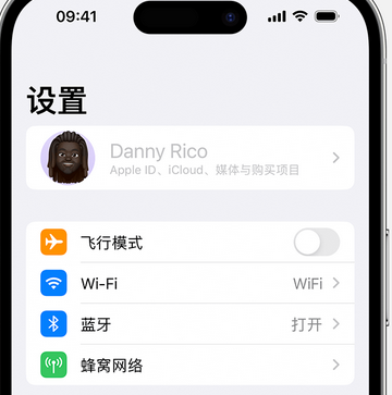 临沭appleID维修服务iPhone设置中Apple ID显示为灰色无法使用 