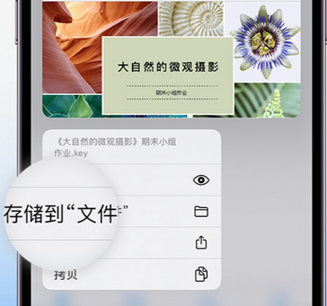 临沭apple维修中心分享iPhone文件应用中存储和找到下载文件