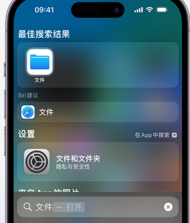 临沭apple维修中心分享iPhone文件应用中存储和找到下载文件