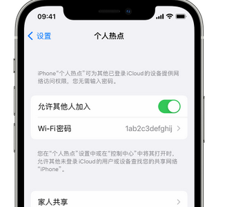 临沭apple服务站点分享iPhone上个人热点丢失了怎么办