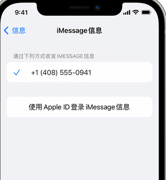 临沭apple维修iPhone上无法正常发送iMessage信息 