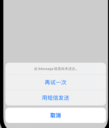 临沭apple维修iPhone上无法正常发送iMessage信息