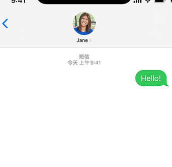 临沭apple维修iPhone上无法正常发送iMessage信息