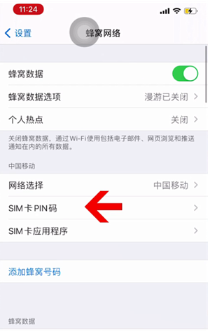 临沭苹果14维修网分享如何给iPhone14的SIM卡设置密码 