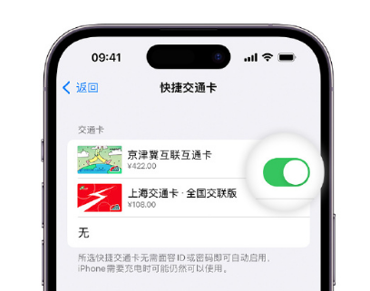 临沭apple维修点分享iPhone上更换Apple Pay快捷交通卡手绘卡面 