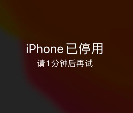 临沭苹果手机维修分享:iPhone 显示“不可用”或“已停用”怎么办？还能保留数据吗？ 