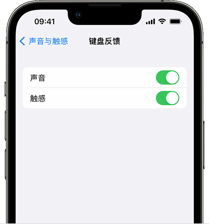 临沭苹果14维修店分享如何在 iPhone 14 机型中使用触感键盘 