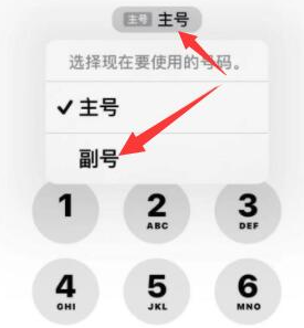 临沭苹果14维修店分享iPhone 14 Pro Max使用副卡打电话的方法 