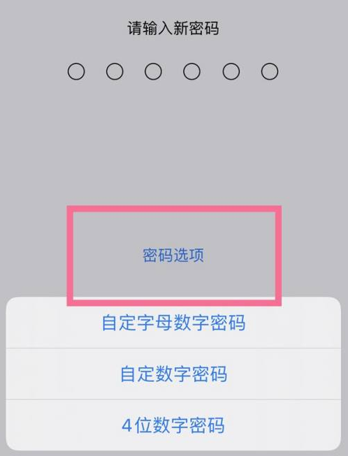 临沭苹果14维修分享iPhone 14plus设置密码的方法 