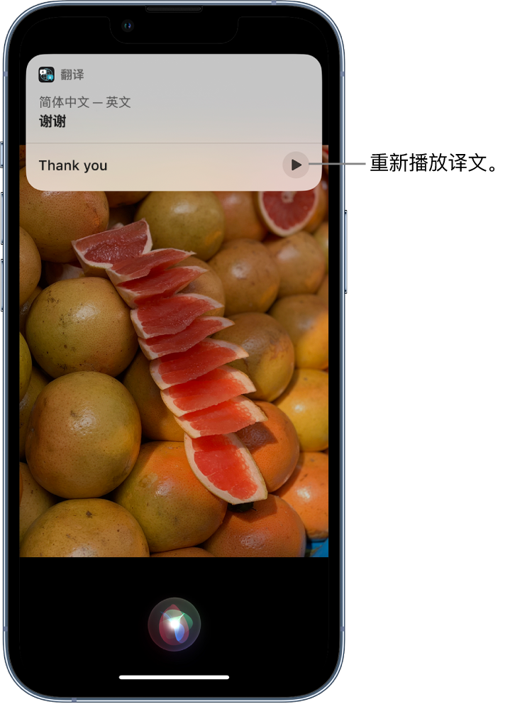 临沭苹果14维修分享 iPhone 14 机型中使用 Siri：了解 Siri 能帮你做什么 