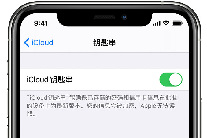 临沭苹果手机维修分享在 iPhone 上开启 iCloud 钥匙串之后会储存哪些信息 