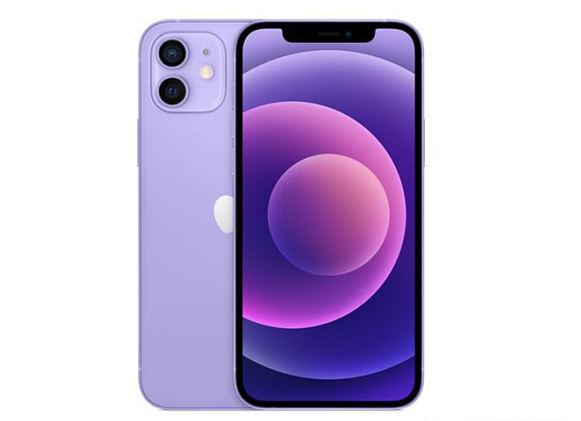 临沭苹果手机维修分享现阶段要不要入手紫色版iPhone12 